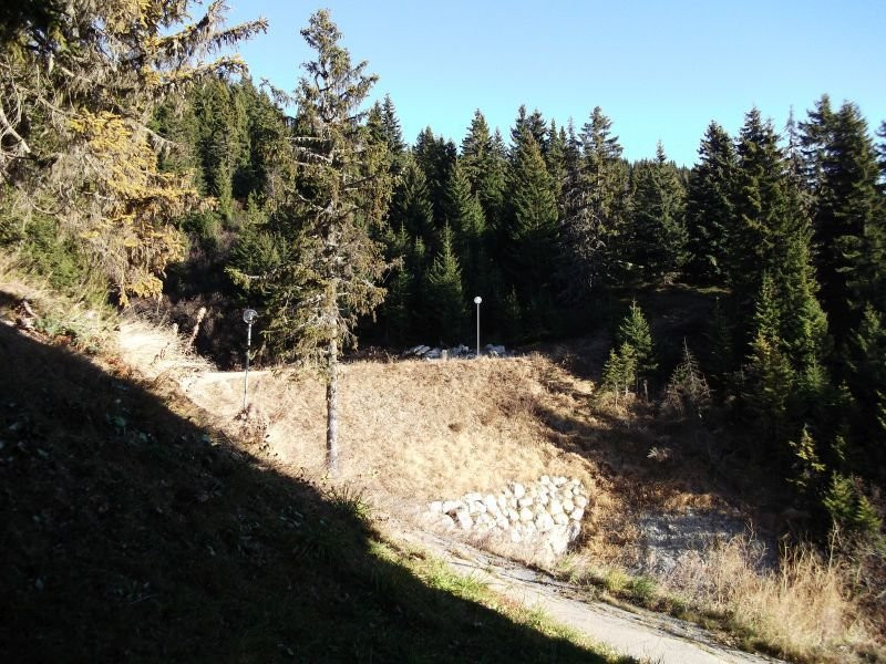 _clients_227362002_photos_23294d_21674342 _clients_227362002_photos_23294d_21674342