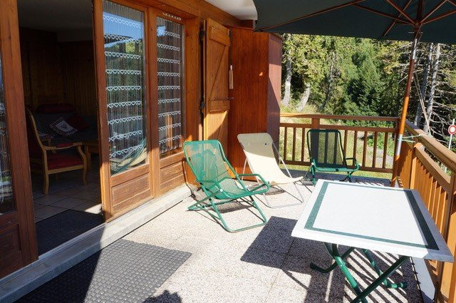 _clients_227362002_photos_23297g_20195561 _clients_227362002_photos_23297g_20195561