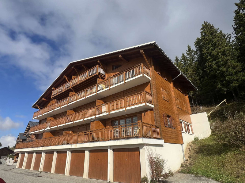 _clients_227362002_photos_23297l_22286634