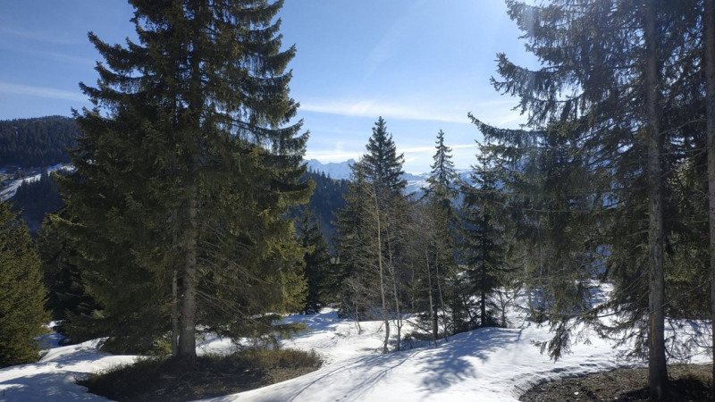 _clients_227362002_photos_23307v_22173831 _clients_227362002_photos_23307v_22173831