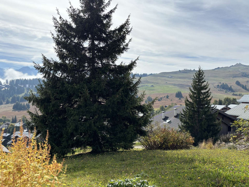 _clients_227362002_photos_26035n_22300207