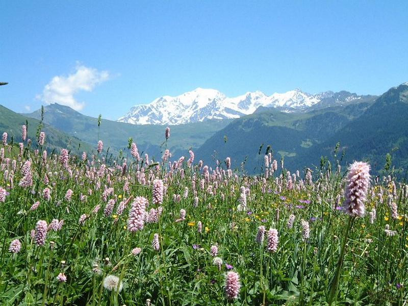 Résidence Résidence