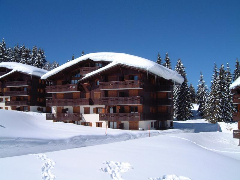 _lv_images__imme_0000000184_01_20251444