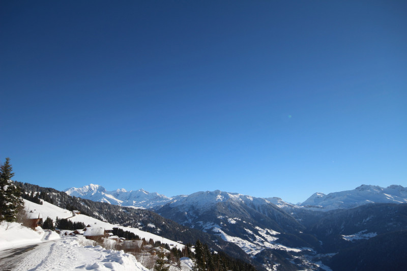 _lv_images__imme_0000000226_07_19048275