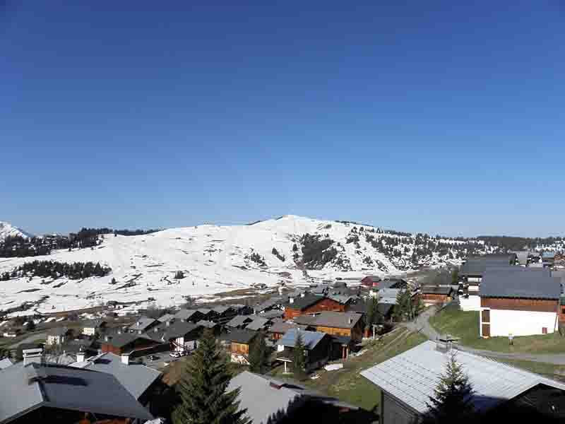 _lv_images__lot_0000000883_04_13988621