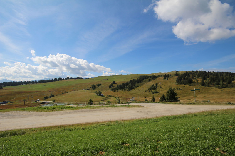 _lv_images__lot_0001010003_11_22166123 _lv_images__lot_0001010003_11_22166123