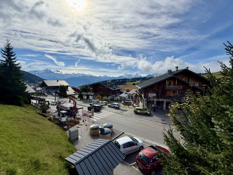 _lv_images__lot_0001020106_12_22114892 _lv_images__lot_0001020106_12_22114892