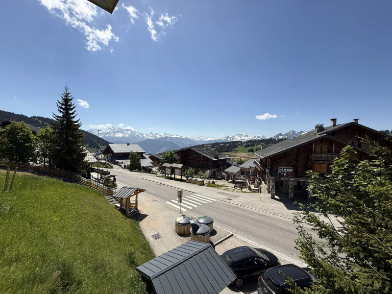 _lv_images__lot_0001020106_12_23350104