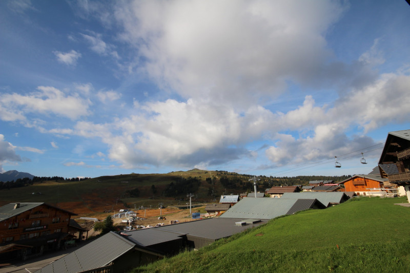 _lv_images__lot_0001040209_12_21394941