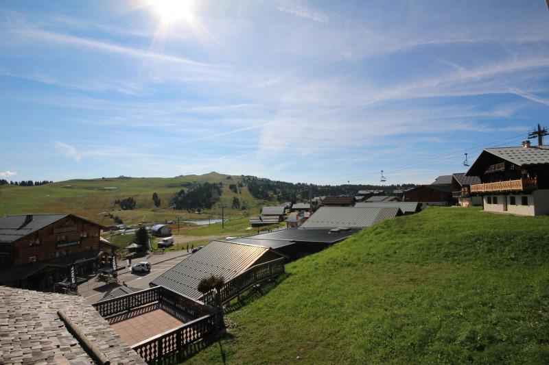 _lv_images__lot_0001040212_11_21185970