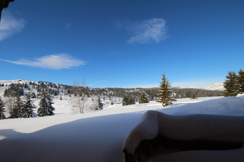 _lv_images__lot_0001080004_12_20723640 _lv_images__lot_0001080004_12_20723640