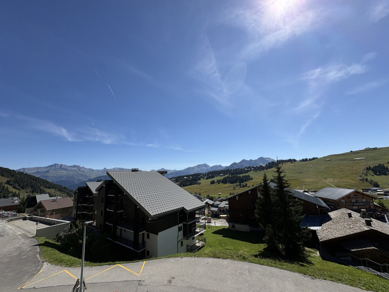 _lv_images__lot_0001100310_10_23907423