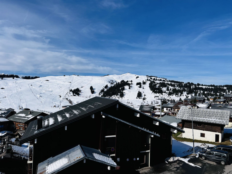 _lv_images__lot_0001100313_11_20575466