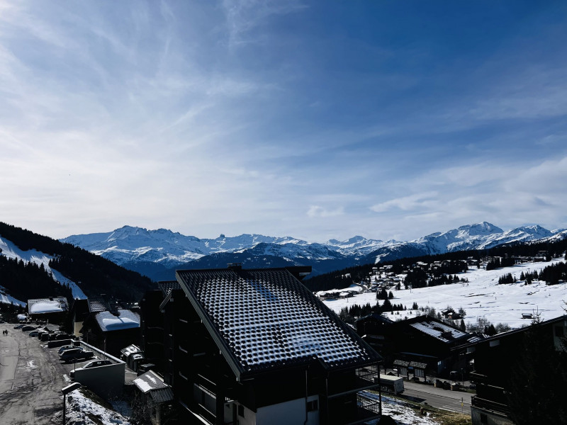 _lv_images__lot_0001100313_12_22239742 _lv_images__lot_0001100313_12_22239742