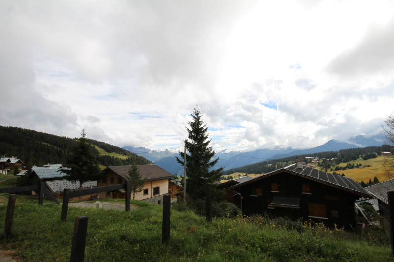 _lv_images__lot_0001120009_10_23385273 _lv_images__lot_0001120009_10_23385273