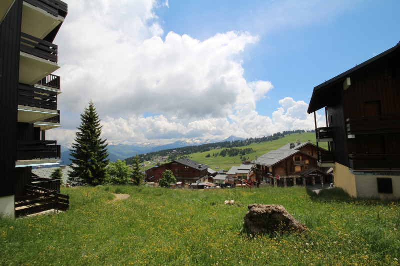 _lv_images__lot_0001200034_10_23325304 _lv_images__lot_0001200034_10_23325304