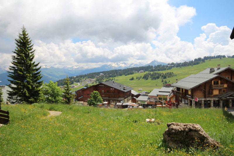 _lv_images__lot_0001200034_11_18994141