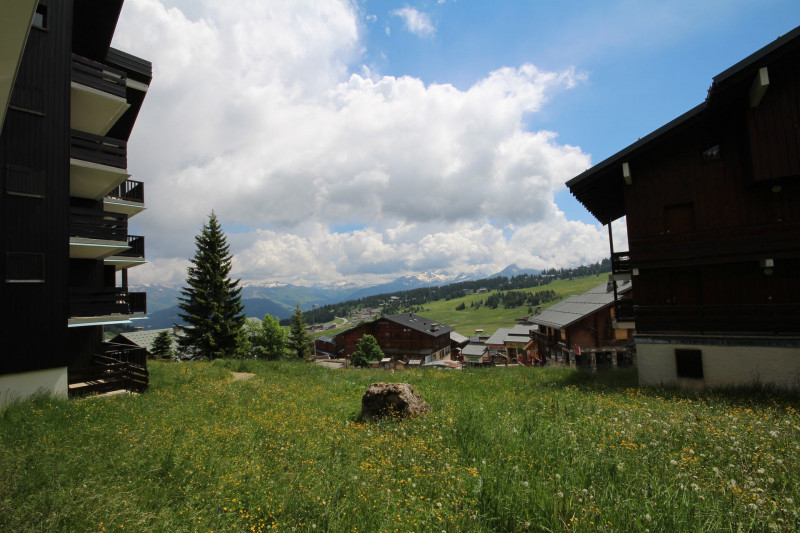 _lv_images__lot_0001200034_12_23325306 _lv_images__lot_0001200034_12_23325306