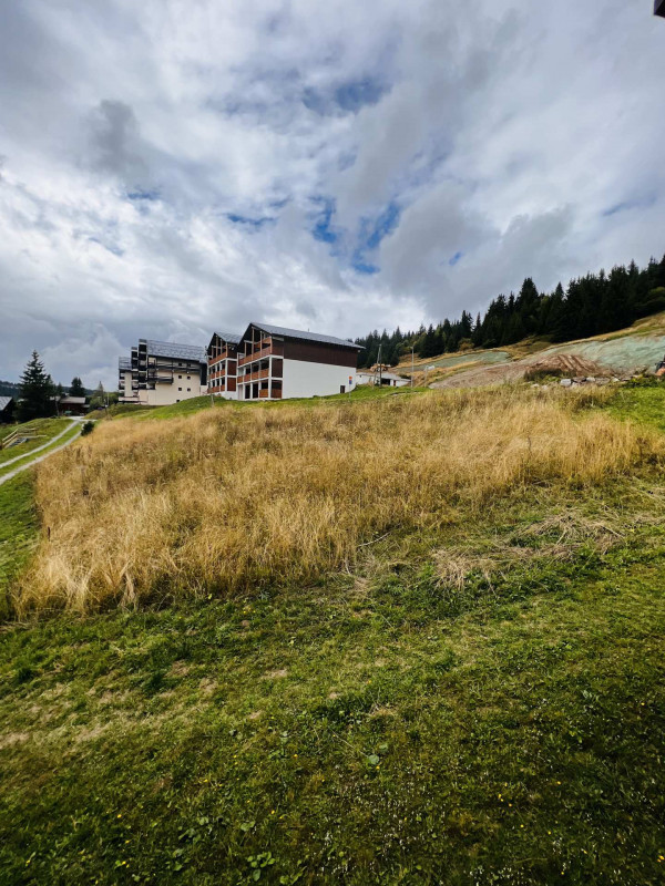 _lv_images__lot_0001300003_10_23437132 _lv_images__lot_0001300003_10_23437132