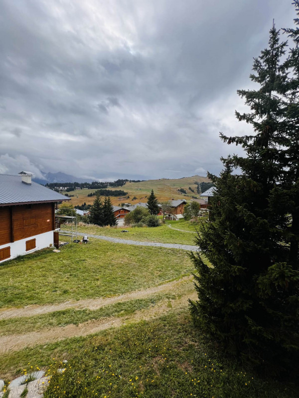 _lv_images__lot_0001300003_13_23437135 _lv_images__lot_0001300003_13_23437135