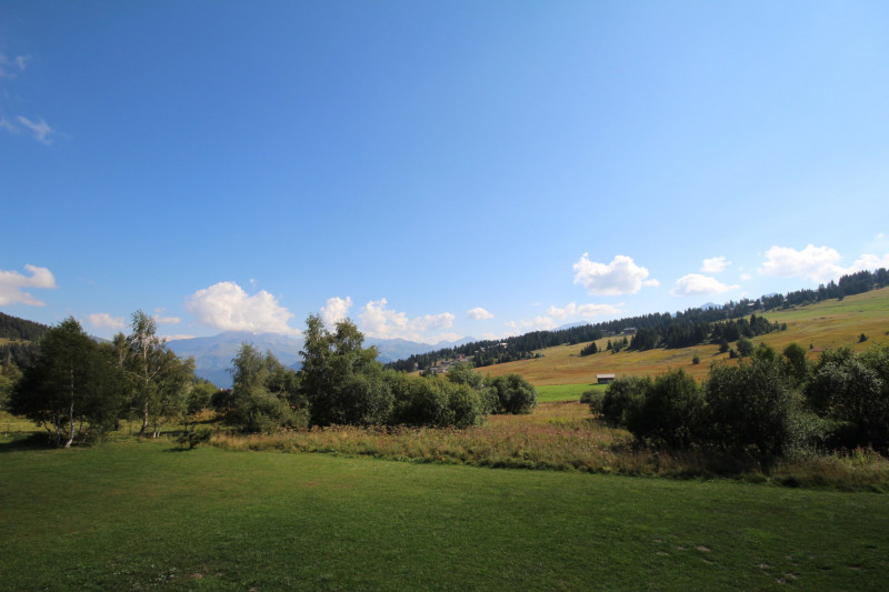 _lv_images__lot_0001370106_10_20782192