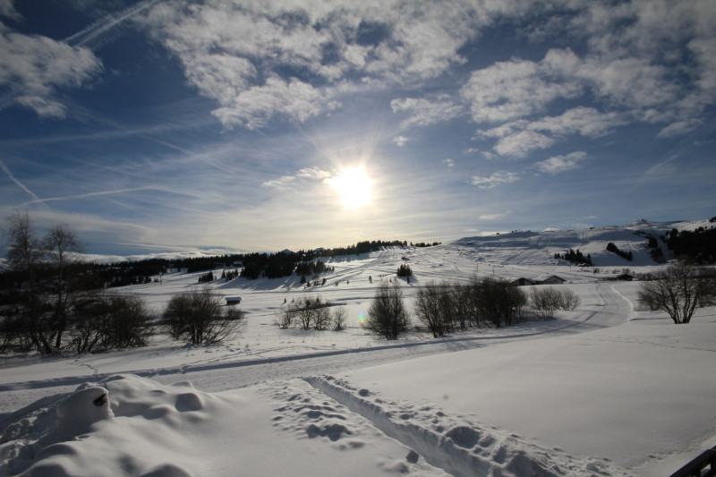 _lv_images__lot_0001370110_16_18646671