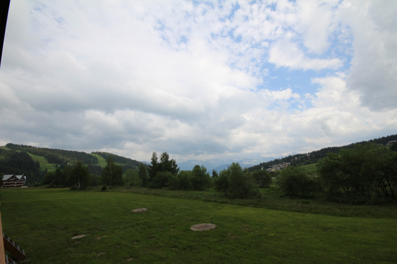 _lv_images__lot_0001380202_12_18647243