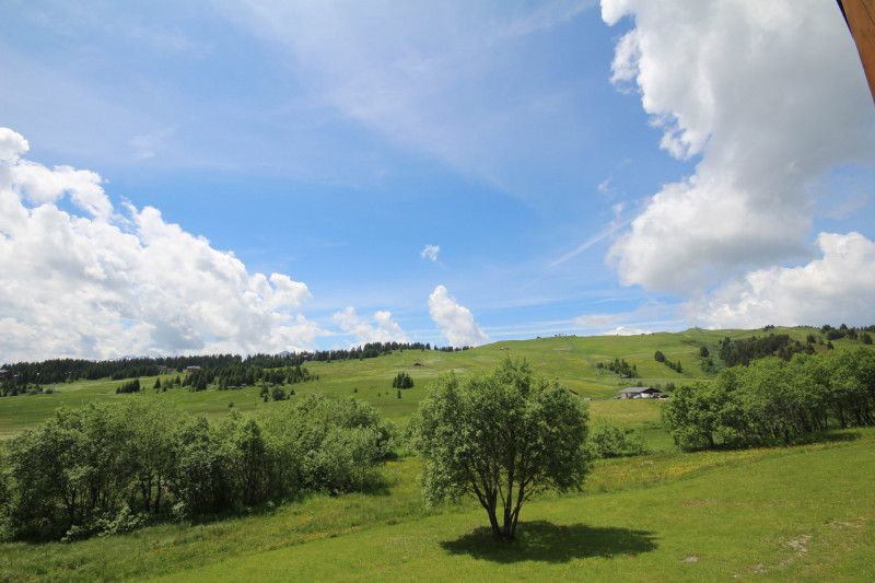 _lv_images__lot_0001380207_08_23372021 _lv_images__lot_0001380207_08_23372021