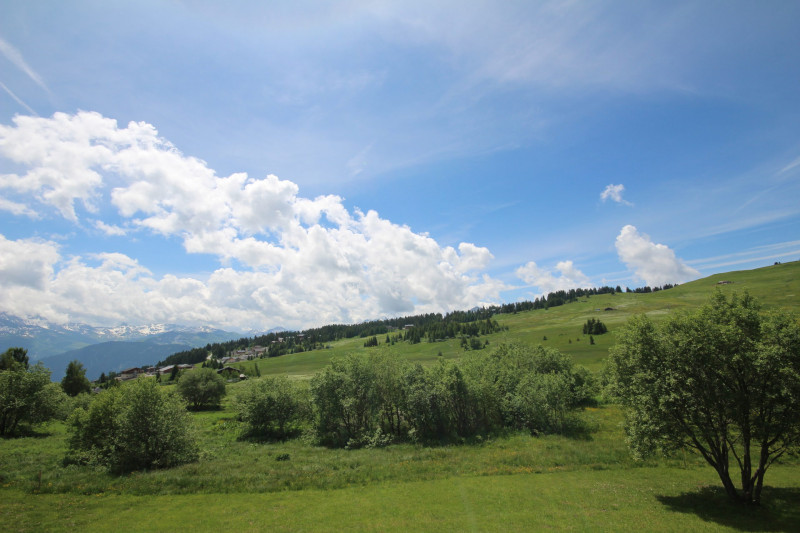 _lv_images__lot_0001380207_09_23372022 _lv_images__lot_0001380207_09_23372022
