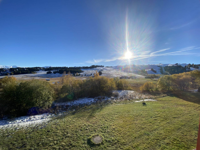 _lv_images__lot_0001380215_12_23435889 _lv_images__lot_0001380215_12_23435889