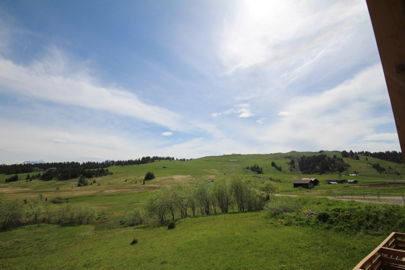 _lv_images__lot_0001390310_11_18996120