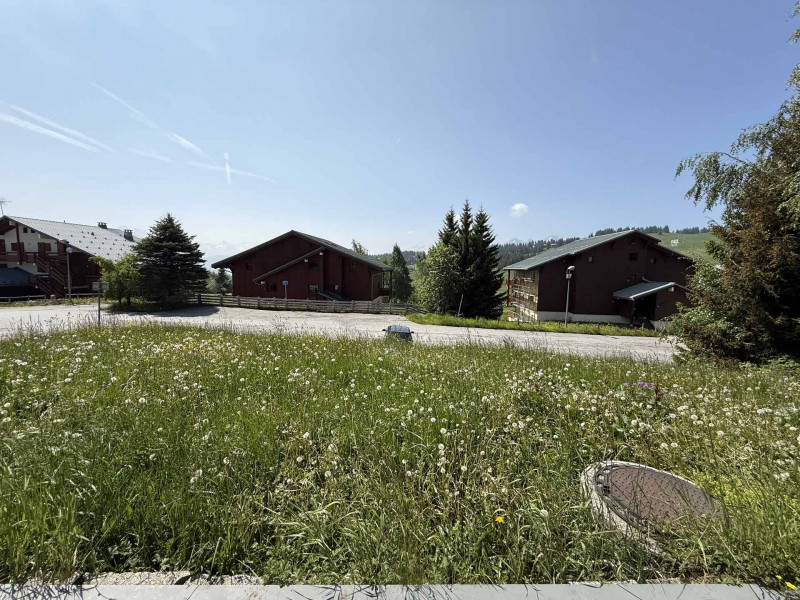 _lv_images__lot_0001420602_13_21972701 _lv_images__lot_0001420602_13_21972701