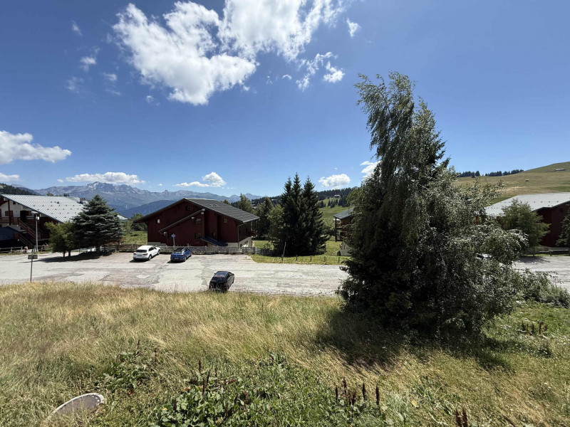 _lv_images__lot_0001420605_11_23351144 _lv_images__lot_0001420605_11_23351144