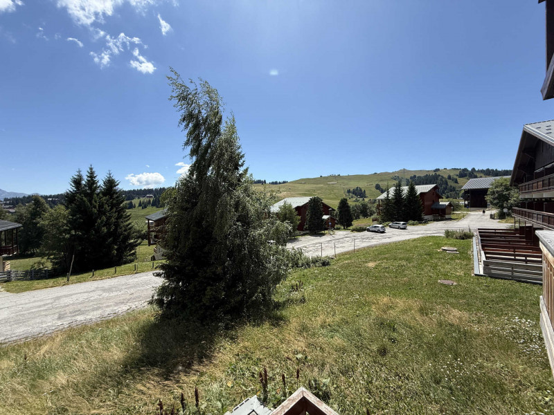 _lv_images__lot_0001420605_12_20435960 _lv_images__lot_0001420605_12_20435960