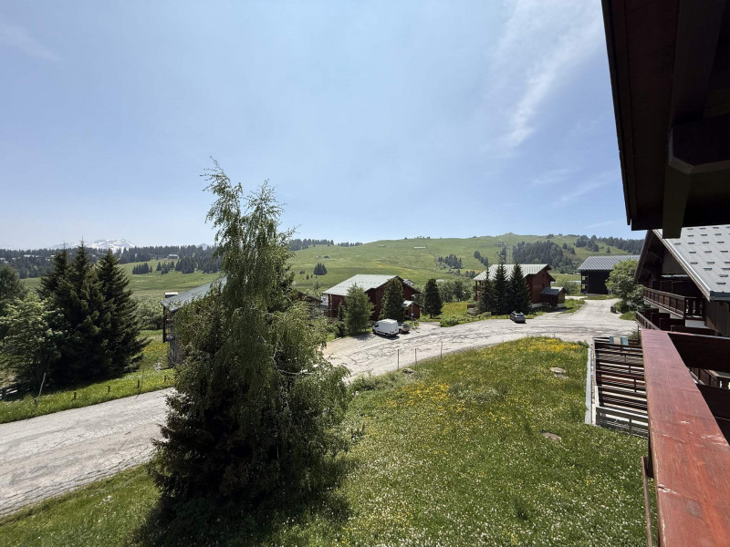 _lv_images__lot_0001420610_12_22370132