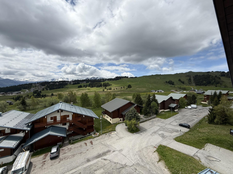 _lv_images__lot_0001440130_13_21746113 _lv_images__lot_0001440130_13_21746113