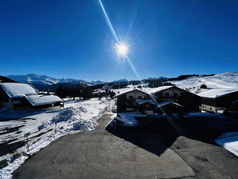 _lv_images__lot_0001450213_09_21870110