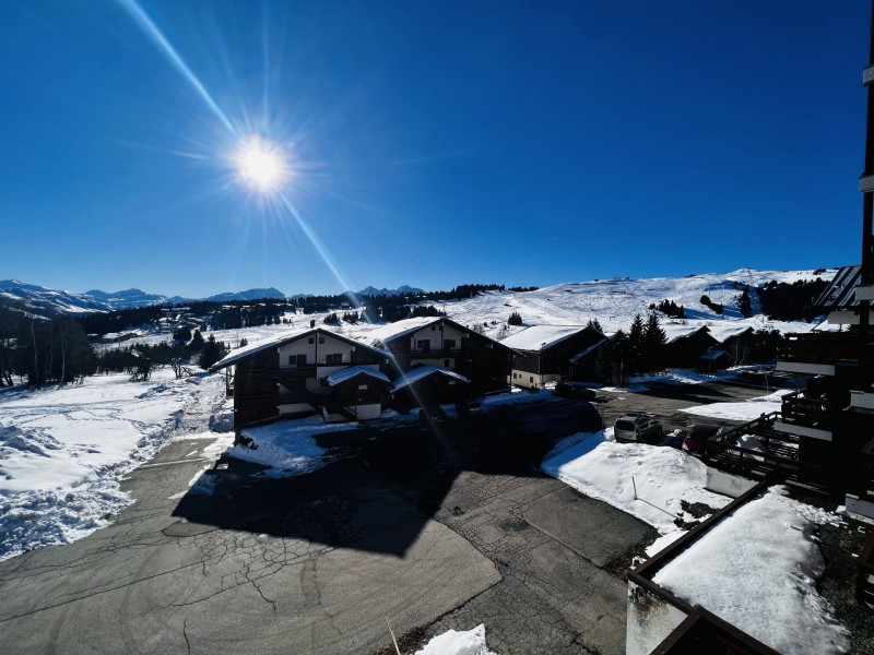 _lv_images__lot_0001450213_10_20230952 _lv_images__lot_0001450213_10_20230952