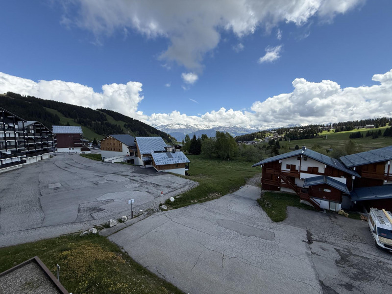 _lv_images__lot_0001450220_12_23351271 _lv_images__lot_0001450220_12_23351271