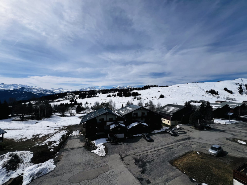 _lv_images__lot_0001450221_13_18646093