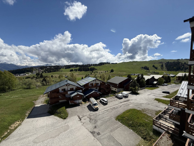 _lv_images__lot_0001450221_13_21795346 _lv_images__lot_0001450221_13_21795346