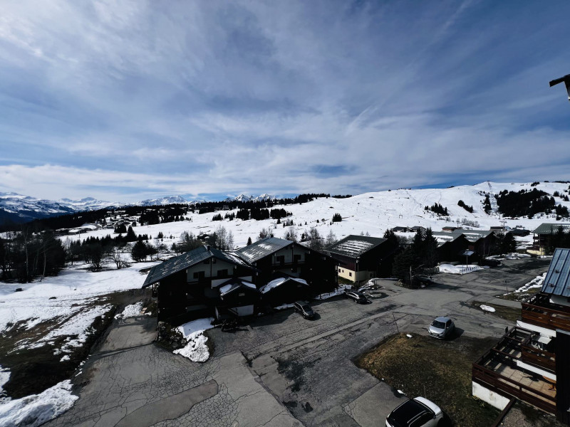_lv_images__lot_0001450221_14_18646094