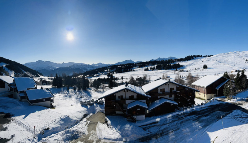 _lv_images__lot_0001450224_11_18647100