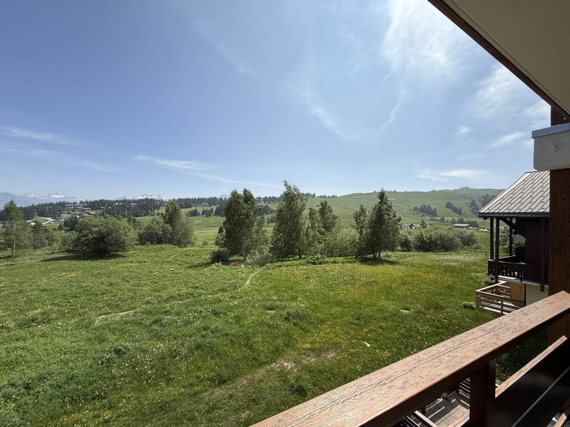 _lv_images__lot_0001460313_10_21971661