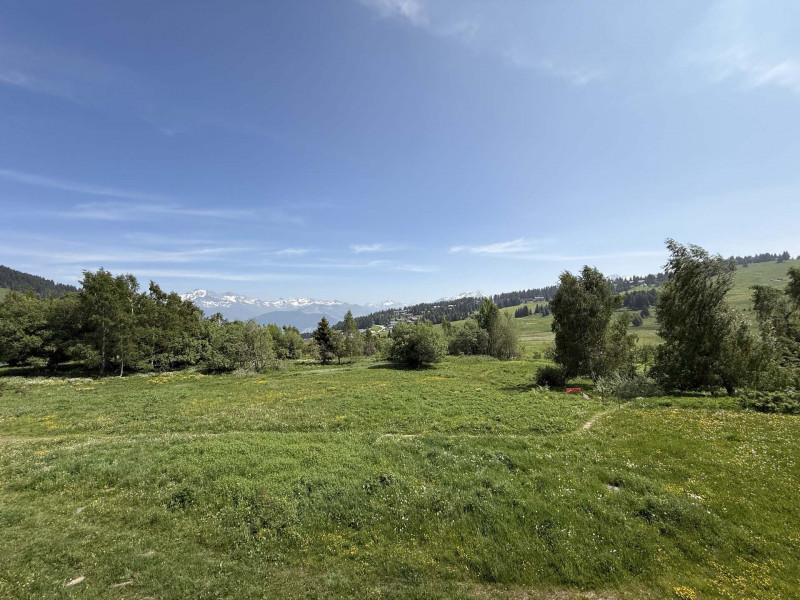 _lv_images__lot_0001460313_11_20435432 _lv_images__lot_0001460313_11_20435432