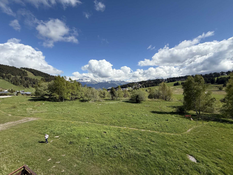 _lv_images__lot_0001460316_10_23976599 _lv_images__lot_0001460316_10_23976599