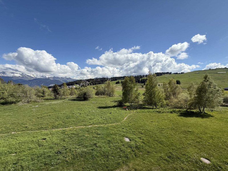 _lv_images__lot_0001460316_11_20665163 _lv_images__lot_0001460316_11_20665163