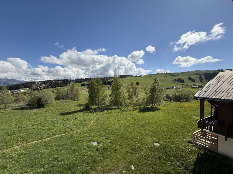 _lv_images__lot_0001460316_12_23976601 _lv_images__lot_0001460316_12_23976601