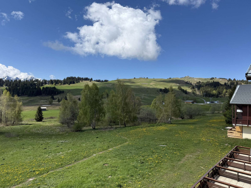 _lv_images__lot_0001470409_12_23337972 _lv_images__lot_0001470409_12_23337972