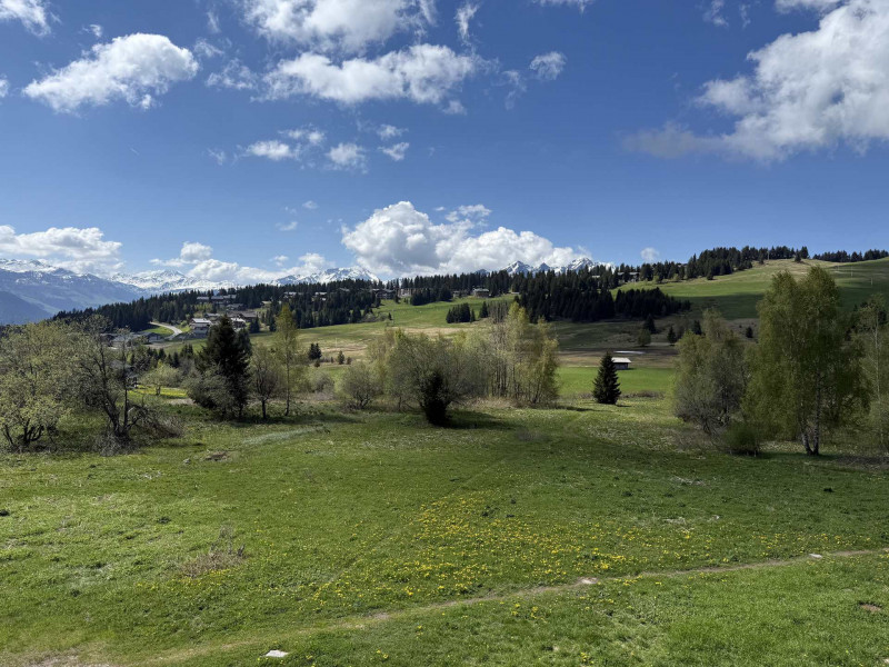 _lv_images__lot_0001470409_13_19093047